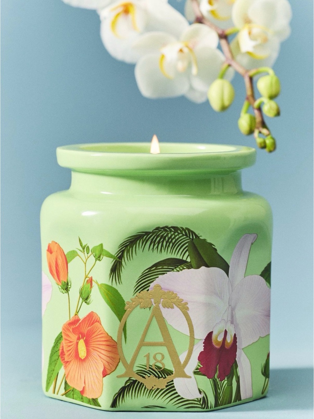 Anthropologie Orchid & Amber Ceramic Candle